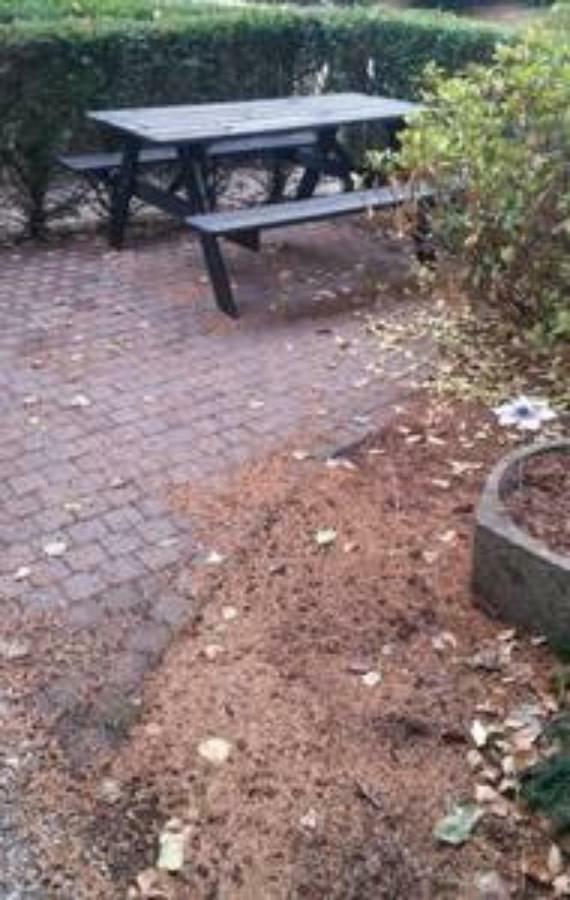 Nederweert Appartement De Groote Peel מראה חיצוני תמונה