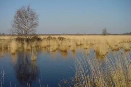 Nederweert Appartement De Groote Peel מראה חיצוני תמונה